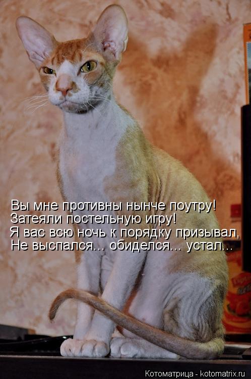 Вы мне противны нынче поутру! Затеяли постельную игру! Я вас всю ночь к порядку призывал, Не выспался... Котоматрица: Вы мне противны нынче поутру! Затеяли постельную игру! Я вас всю ночь к порядку призывал, Не выспался... обиделся... устал...