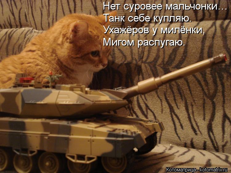Нет суровее мальчонки… Танк себе купляю. Ухажёров у милёнки, Мигом распугаю.... Котоматрица: Нет суровее мальчонки… Танк себе купляю. Ухажёров у милёнки, Мигом распугаю.