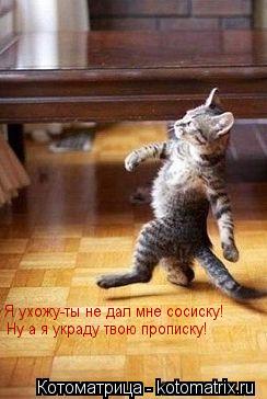 Я ухожу-ты не дал мне сосиску! Ну а я украду твою прописку!... Котоматрица: Я ухожу-ты не дал мне сосиску! Ну а я украду твою прописку!