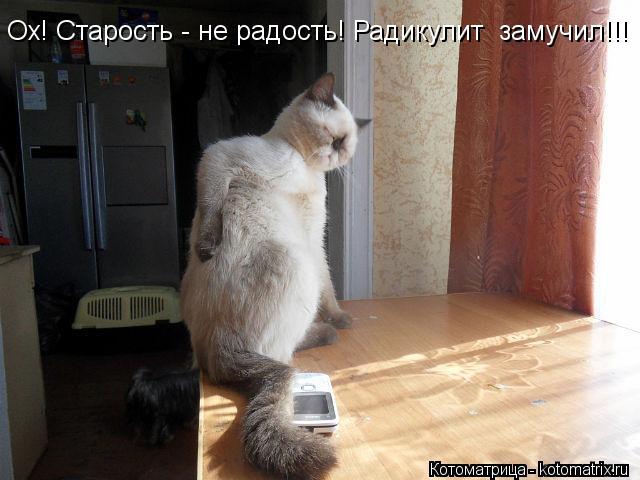 Ох! Старость - не радость! Радикулит замучил!!!... Котоматрица: Ох! Старость - не радость! Радикулит замучил!!!