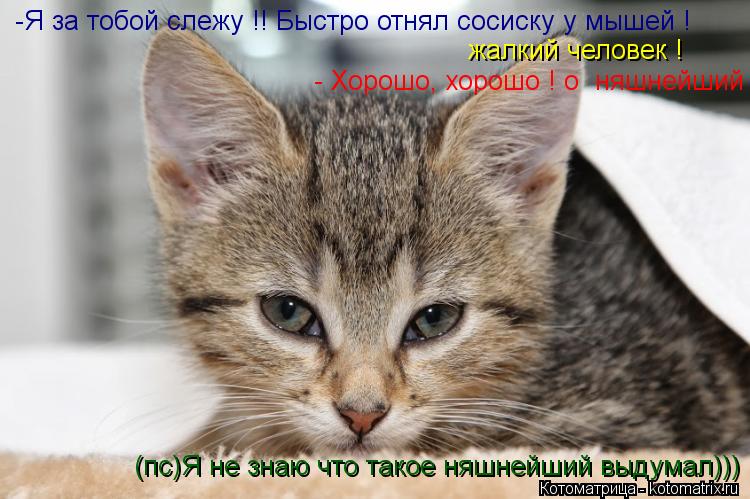 -Я за тобой слежу !! Быстро отнял сосиску у мышей ! жалкий человек ! - Хорошо, хорошо ! о няшнейший ... Котоматрица: -Я за тобой слежу !! Быстро отнял сосиску у мышей ! жалкий человек ! - Хорошо, хорошо ! о няшнейший ! (пс)Я не знаю что такое няшнейший выдумал)))