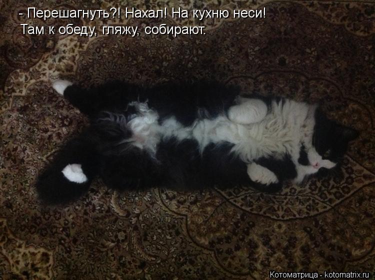 - Перешагнуть?! Нахал! На кухню неси! Там к обеду, гляжу, собирают.... Котоматрица: - Перешагнуть?! Нахал! На кухню неси! Там к обеду, гляжу, собирают.