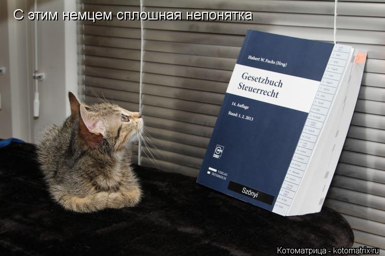 С этим немцем сплошная непонятка... Котоматрица: С этим немцем сплошная непонятка
