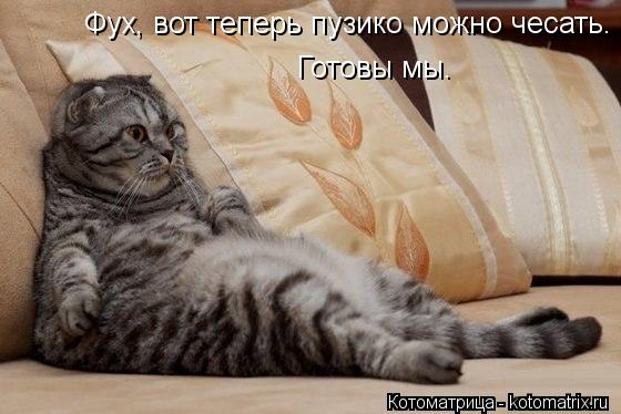 Фух, вот теперь пузико можно чесать. Готовы мы.... Котоматрица: Фух, вот теперь пузико можно чесать. Готовы мы.