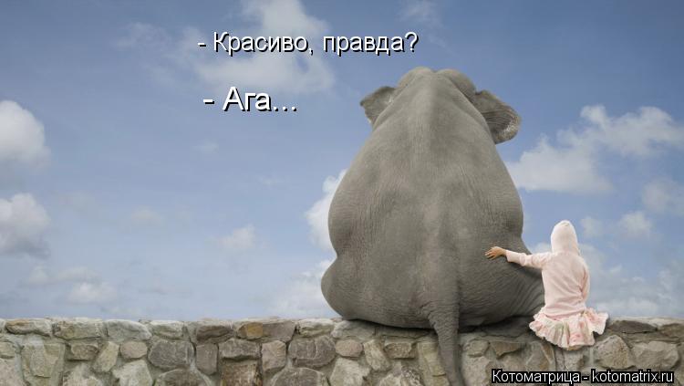 - Красиво, правда? - Ага...... Котоматрица: - Красиво, правда? - Ага...