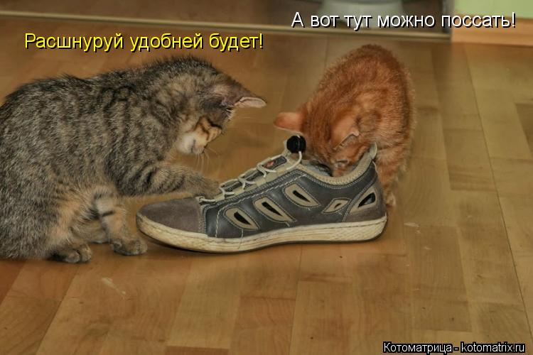 А вот тут можно поссать! Расшнуруй удобней будет!... Котоматрица: А вот тут можно поссать! Расшнуруй удобней будет!