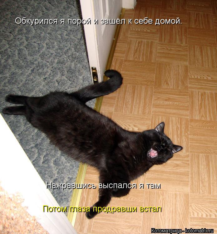 Обкурился я порой и зашёл к себе домой. Нажравшись выспался я там Нажравшись выспался я там Потом гла... Котоматрица: Обкурился я порой и зашёл к себе домой. Нажравшись выспался я там Нажравшись выспался я там Потом глаза продравши встал