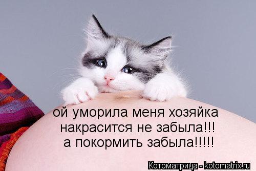ой уморила меня хозяйка накрасится не забыла!!! а покормить забыла!!!!!... Котоматрица: ой уморила меня хозяйка накрасится не забыла!!! а покормить забыла!!!!!