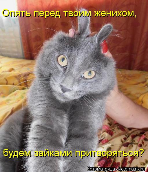 Опять перед твоим женихом, будем зайками притворяться?... Котоматрица: Опять перед твоим женихом, будем зайками притворяться?