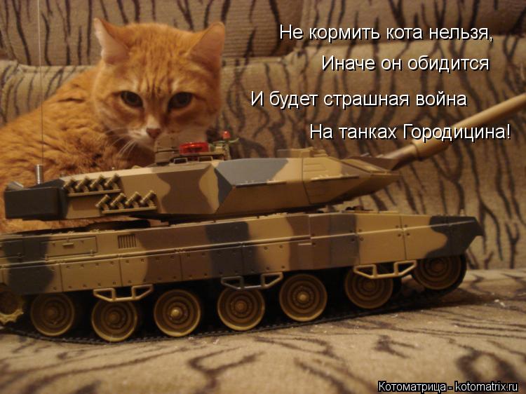 Не кормить кота нельзя, Иначе он обидится И будет страшная война На танках Городицина!... Котоматрица: Не кормить кота нельзя, Иначе он обидится И будет страшная война На танках Городицина!