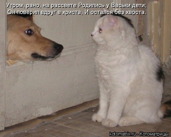 Утром, рано, на рассвете Родились у Васьки дети; Он поверил вдруг в христа, И остался без хвоста. Ут... Котоматрица: Утром, рано, на рассвете Родились у Васьки дети; Он поверил вдруг в христа, И остался без хвоста. Утром, рано, на рассвете Родились у Васьки д