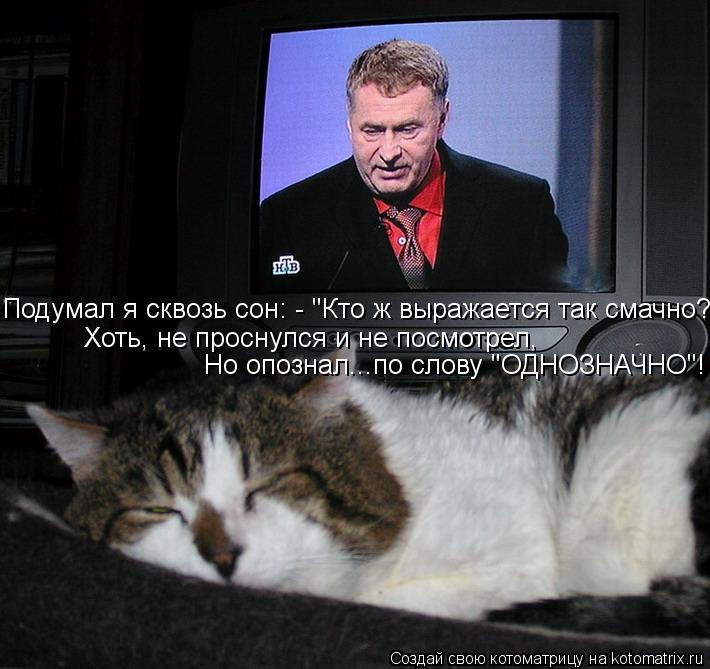 Подумал я сквозь сон: - "Кто ж выражается так смачно?" Хоть, не проснулся и не посмотрел, Но опознал.... Котоматрица: Подумал я сквозь сон: - "Кто ж выражается так смачно?" Хоть, не проснулся и не посмотрел, Но опознал...по слову "ОДНОЗНАЧНО"!
