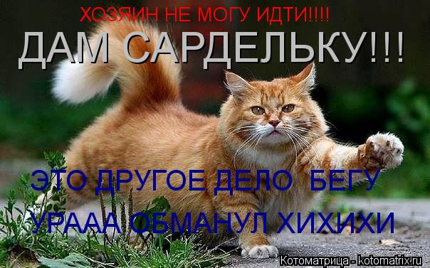 ХОЗЯИН НЕ МОГУ ИДТИ!!!! ДАМ САРДЕЛЬКУ!!! ЭТО ДРУГОЕ ДЕЛО БЕГУ УРААА ОБМАНУЛ ХИХИХИ... Котоматрица: ХОЗЯИН НЕ МОГУ ИДТИ!!!! ДАМ САРДЕЛЬКУ!!! ЭТО ДРУГОЕ ДЕЛО БЕГУ УРААА ОБМАНУЛ ХИХИХИ