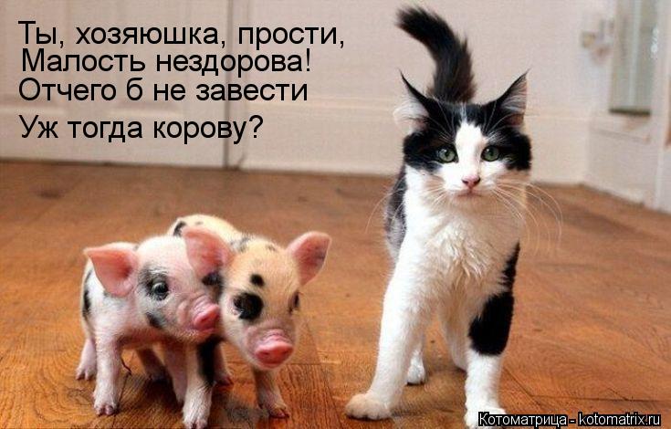 Ты, хозяюшка, прости, Малость нездорова! Отчего б не завести Уж тогда корову?... Котоматрица: Ты, хозяюшка, прости, Малость нездорова! Отчего б не завести Уж тогда корову?