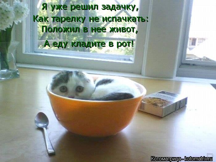 Я уже решил задачку, Как тарелку не испачкать: Положил в нее живот, А еду кладите в рот!... Котоматрица: Я уже решил задачку, Как тарелку не испачкать: Положил в нее живот, А еду кладите в рот!