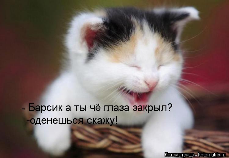 Барсик а ты чё глаза закрыл? - -оденешься скажу!... Котоматрица: Барсик а ты чё глаза закрыл? - -оденешься скажу!