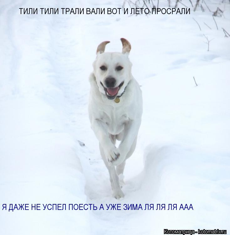 ТИЛИ ТИЛИ ТРАЛИ ВАЛИ ВОТ И ЛЕТО ПРОСРАЛИ Я ДАЖЕ НЕ УСПЕЛ ПОЕСТЬ А УЖЕ ЗИМА ЛЯ ЛЯ ЛЯ ААА... Котоматрица: ТИЛИ ТИЛИ ТРАЛИ ВАЛИ ВОТ И ЛЕТО ПРОСРАЛИ Я ДАЖЕ НЕ УСПЕЛ ПОЕСТЬ А УЖЕ ЗИМА ЛЯ ЛЯ ЛЯ ААА