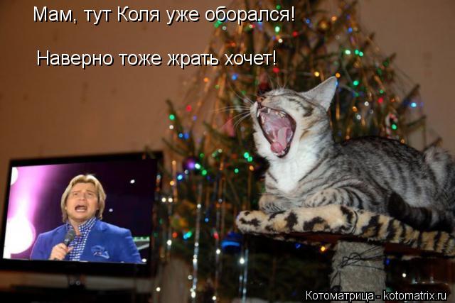 Мам, тут Коля уже оборался! Наверно тоже жрать хочет!... Котоматрица: Мам, тут Коля уже оборался! Наверно тоже жрать хочет!