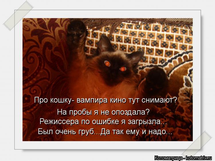Про кошку- вампира кино тут снимают? На пробы я не опоздала? Режиссера по ошибке я загрызла... Был оч... Котоматрица: Про кошку- вампира кино тут снимают? На пробы я не опоздала? Режиссера по ошибке я загрызла... Был очень груб...Да так ему и надо...
