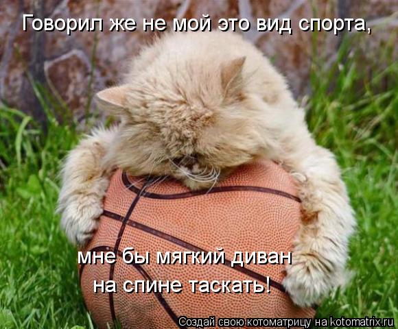 Говорил же не мой это вид спорта, мне бы мягкий диван на спине таскать!... Котоматрица: Говорил же не мой это вид спорта, мне бы мягкий диван на спине таскать!