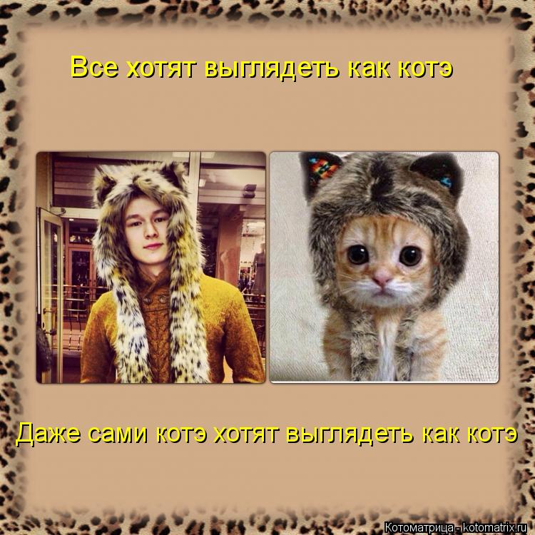 Все хотят выглядеть как котэ Даже сами котэ хотят выглядеть как котэ... Котоматрица: Все хотят выглядеть как котэ Даже сами котэ хотят выглядеть как котэ