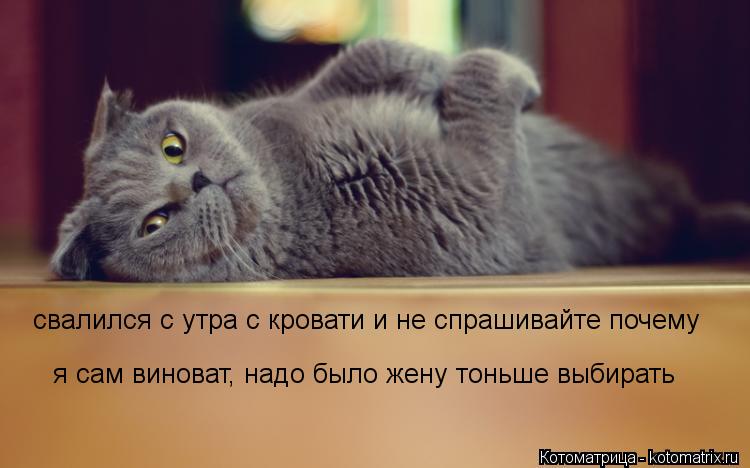 свалился с утра с кровати и не спрашивайте почему я сам виноват, надо было жену тоньше выбирать... Котоматрица: свалился с утра с кровати и не спрашивайте почему я сам виноват, надо было жену тоньше выбирать