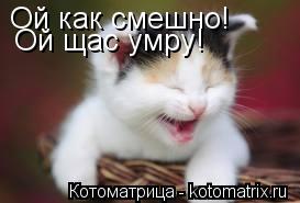 Ой как смешно! Ой щас умру!... Котоматрица: Ой как смешно! Ой щас умру!