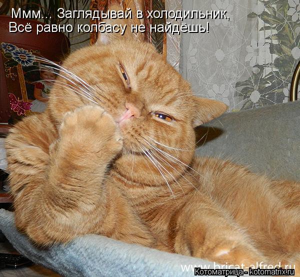 Ммм... Заглядывай в холодильник, Всё равно колбасу не найдёшь!... Котоматрица: Ммм... Заглядывай в холодильник, Всё равно колбасу не найдёшь!