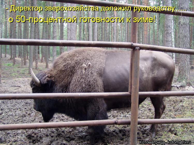 - Директор зверохозяйства доложил руководству...... о 50-процентной готовности к зиме!... Котоматрица: - Директор зверохозяйства доложил руководству...... о 50-процентной готовности к зиме!