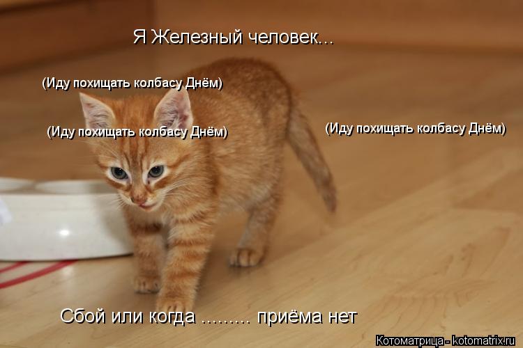 Я Железный человек... (Иду похищать колбасу Днём) (Иду похищать колбасу Днём) (Иду похищать колбасу Д... Котоматрица: Я Железный человек... (Иду похищать колбасу Днём) (Иду похищать колбасу Днём) (Иду похищать колбасу Днём) Сбой или когда ......... приёма нет