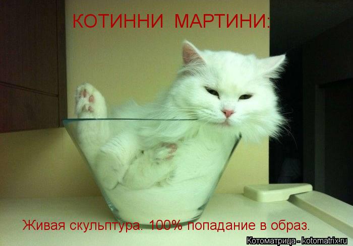 КОТИННИ МАРТИНИ: Живая скульптура. 100% попадание в образ.... Котоматрица: КОТИННИ МАРТИНИ: Живая скульптура. 100% попадание в образ.
