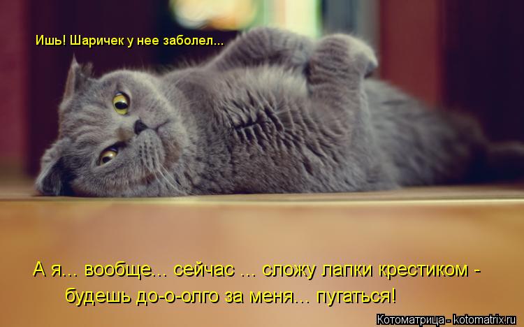 А я... вообще... сейчас ... сложу лапки крестиком - будешь до-о-олго за меня... пугаться! Ишь! Шариче... Котоматрица: А я... вообще... сейчас ... сложу лапки крестиком - будешь до-о-олго за меня... пугаться! Ишь! Шаричек у нее заболел...