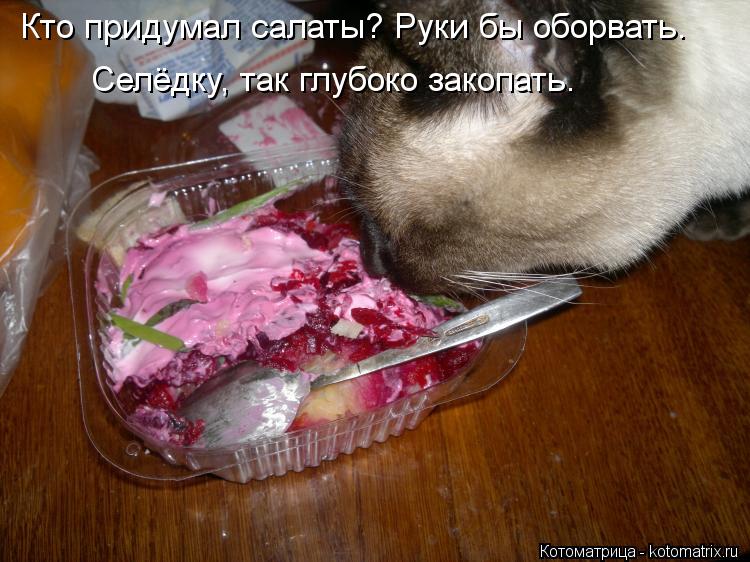 Кто придумал салаты? Руки бы оборвать. Селёдку, так глубоко закопать.... Котоматрица: Кто придумал салаты? Руки бы оборвать. Селёдку, так глубоко закопать.