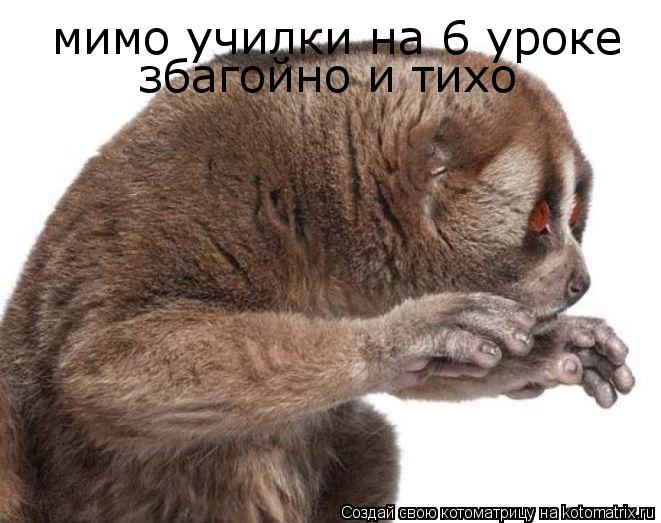 мимо училки на 6 уроке збагойно и тихо... Котоматрица: мимо училки на 6 уроке збагойно и тихо