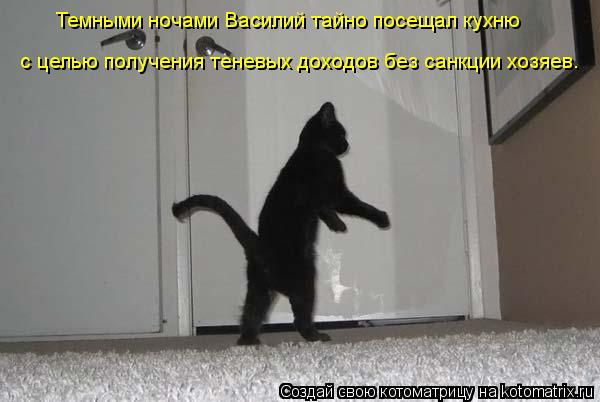 Темными ночами Василий тайно посещал кухню с целью получения теневых доходов без санкции хозяев.... Котоматрица: Темными ночами Василий тайно посещал кухню с целью получения теневых доходов без санкции хозяев.