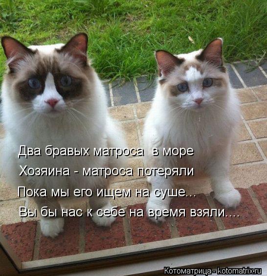 Пока мы его ищем на суше... Вы бы нас к себе на время взяли.... Хозяина - матроса потеряли Два бравых... Котоматрица: Пока мы его ищем на суше... Вы бы нас к себе на время взяли.... Хозяина - матроса потеряли Два бравых матроса в море
