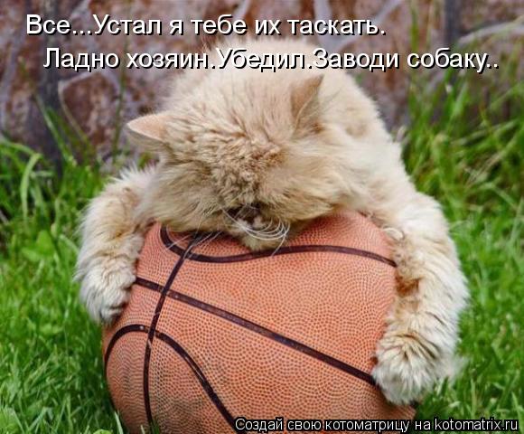 Все...Устал я тебе их таскать. Ладно хозяин.Убедил.Заводи собаку..... Котоматрица: Все...Устал я тебе их таскать. Ладно хозяин.Убедил.Заводи собаку..