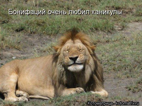 Бонифаций очень любил каникулы... Котоматрица: Бонифаций очень любил каникулы