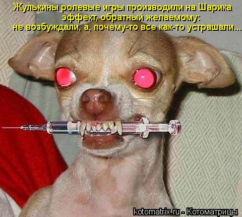 Жулькины ролевые игры производили на Шарика эффект, обратный желаемому: не возбуждали, а, почему-то в... Котоматрица: Жулькины ролевые игры производили на Шарика эффект, обратный желаемому: не возбуждали, а, почему-то все как-то устрашали...