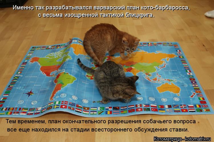 с весьма изощренной тактикой блицкрига. Тем временем, план окончательного разрешения собачьего вопрос... Котоматрица: с весьма изощренной тактикой блицкрига. Тем временем, план окончательного разрешения собачьего вопроса все еще находился на стадии всесто