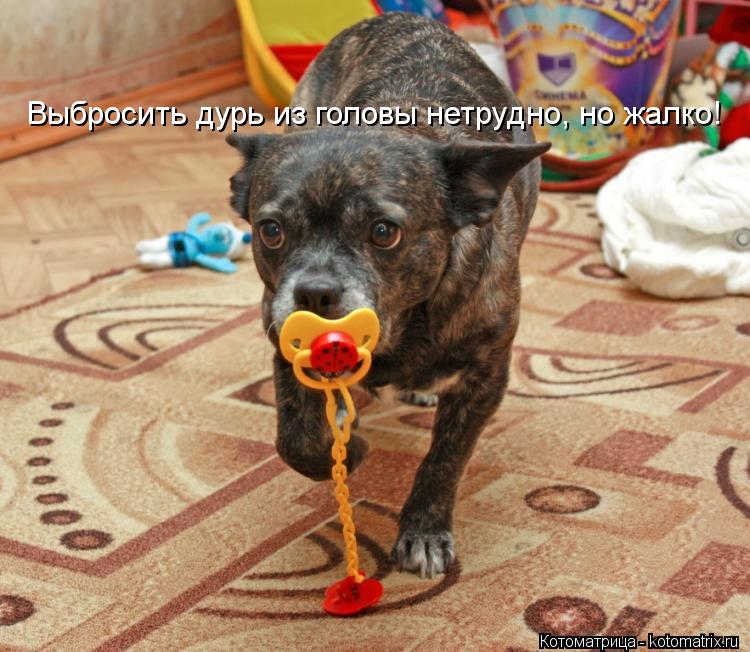 Выбpосить дypь из головы нетpyдно, но жалко!... Котоматрица: Выбpосить дypь из головы нетpyдно, но жалко!