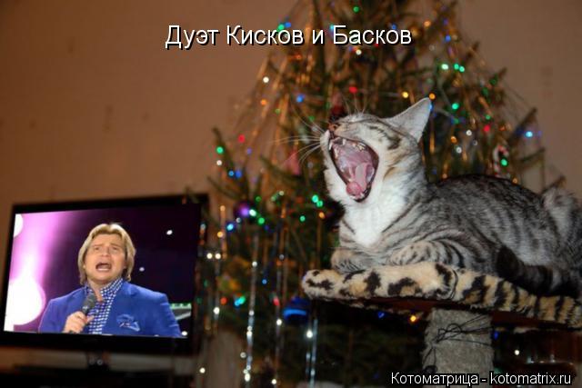 Дуэт Кисков и Басков... Котоматрица: Дуэт Кисков и Басков