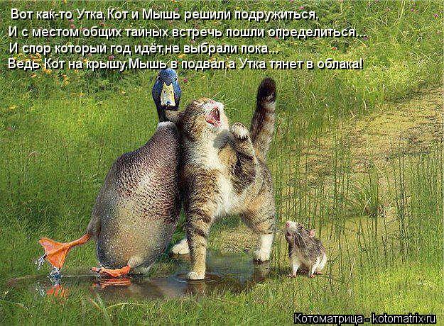Вот как-то Утка,Кот и Мышь решили подружиться, И с местом общих тайных встречь пошли определиться... ... Котоматрица: Вот как-то Утка,Кот и Мышь решили подружиться, И с местом общих тайных встречь пошли определиться... И спор который год идёт,не выбрали пока...
