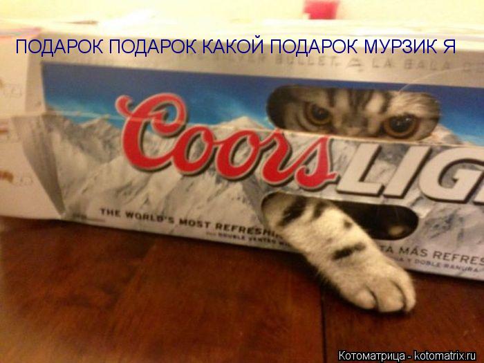 ПОДАРОК ПОДАРОК КАКОЙ ПОДАРОК МУРЗИК Я... Котоматрица: ПОДАРОК ПОДАРОК КАКОЙ ПОДАРОК МУРЗИК Я