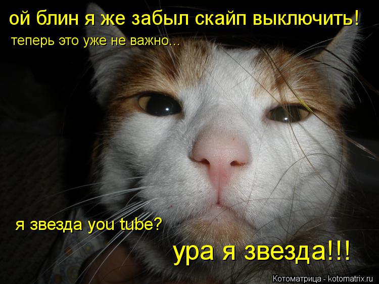 ой блин я же забыл скайп выключить! теперь это уже не важно... я звезда you tube? ура я звезда!!!... Котоматрица: ой блин я же забыл скайп выключить! теперь это уже не важно... я звезда you tube? ура я звезда!!!