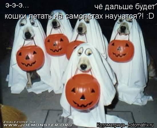 э-э-э... чё дальше будет? кошки летать на самолётах научатся?! :D... Котоматрица: э-э-э... чё дальше будет? кошки летать на самолётах научатся?! :D