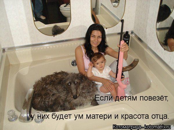 Если детям повезёт, у них будет ум матери и красота отца.... Котоматрица: Если детям повезёт, у них будет ум матери и красота отца.