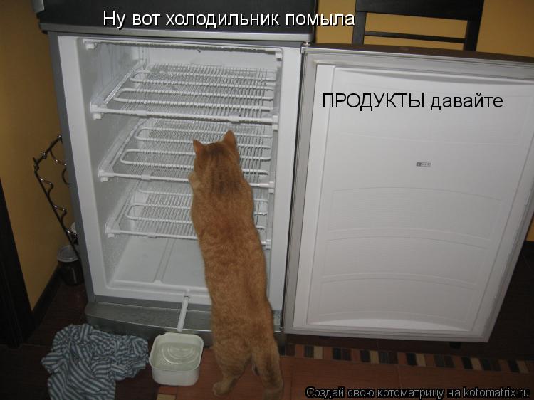 Ну вот холодильник помыла ПРОДУКТЫ давайте... Котоматрица: Ну вот холодильник помыла ПРОДУКТЫ давайте