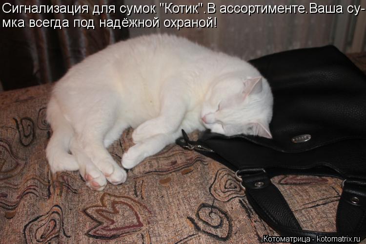 Сигнализация для сумок "Котик".В ассортименте.Ваша су- мка всегда под надёжной охраной!... Котоматрица: Сигнализация для сумок "Котик".В ассортименте.Ваша су- мка всегда под надёжной охраной!