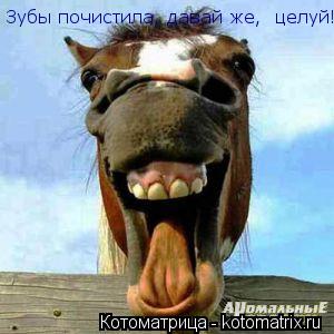 Зубы почистила, давай же, целуй!... Котоматрица: Зубы почистила, давай же, целуй!